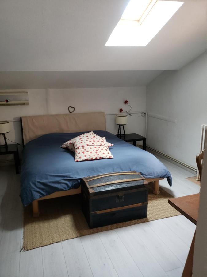 Chambre Dans Une Grande Maison Entre Canal Du Midi Et Centre Ville 베지에 외부 사진