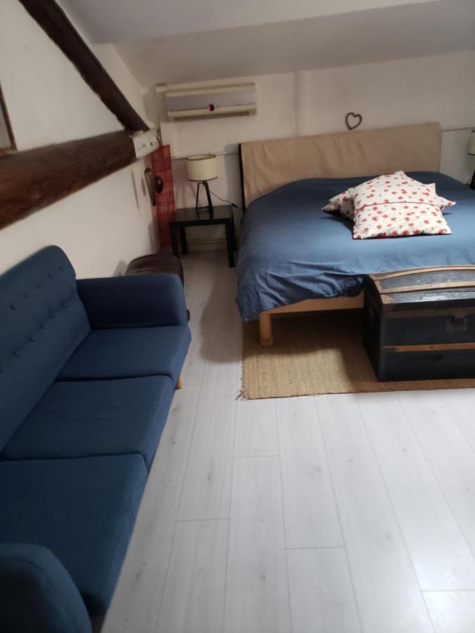 Chambre Dans Une Grande Maison Entre Canal Du Midi Et Centre Ville 베지에 외부 사진